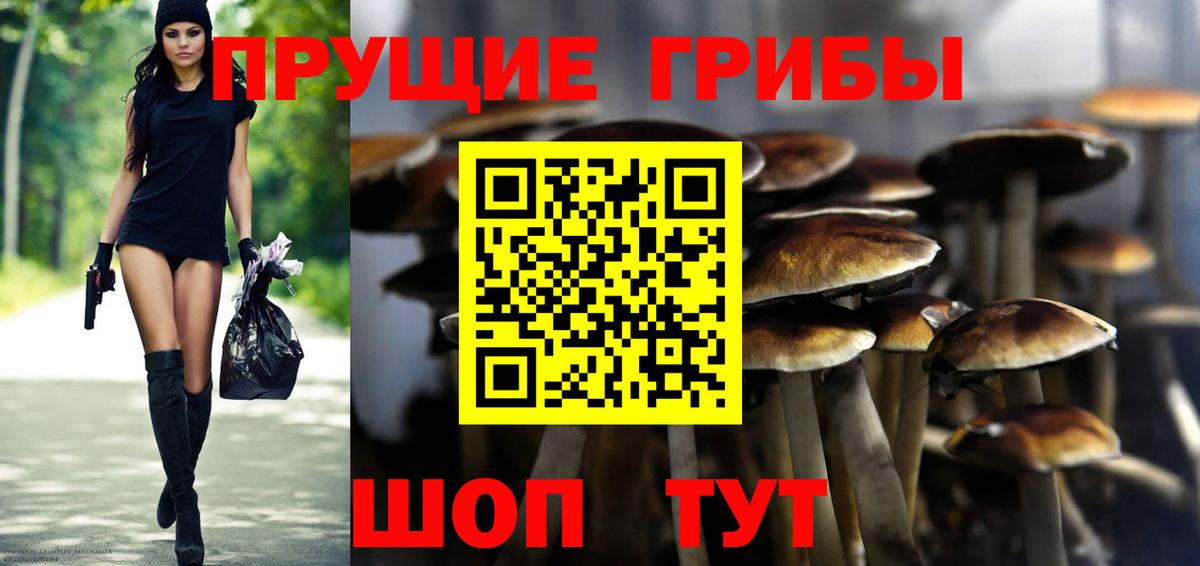 Коркино  Псилоцибиновые грибы мухоморы  Вход с VPN 